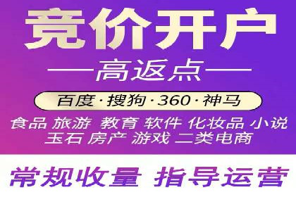 案例解读：竞价广告创意策划
